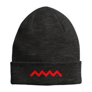 Open image in slideshow, SpelledNik &quot;Spellcheck&quot; Embroidered Beanie
