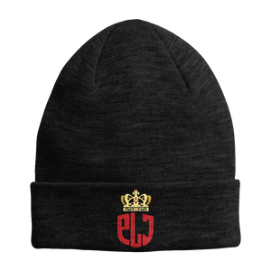 Open image in slideshow, PLJ Embroidered Beanie
